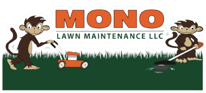 Mono Lawn Maintenance LLC offers services of Mowing, Weedeating, Cleaning & Hauling, Pruning , Gardening , Garbage Removal, Trimming in Ashland, OR, Talent, OR, Phoenix, OR, Medford, OR, Jacksonville, OR, Central Point, OR, Eagle Point, OR, White City, OR, Shady Cove, OR, Gold Hill, OR - Mowing"